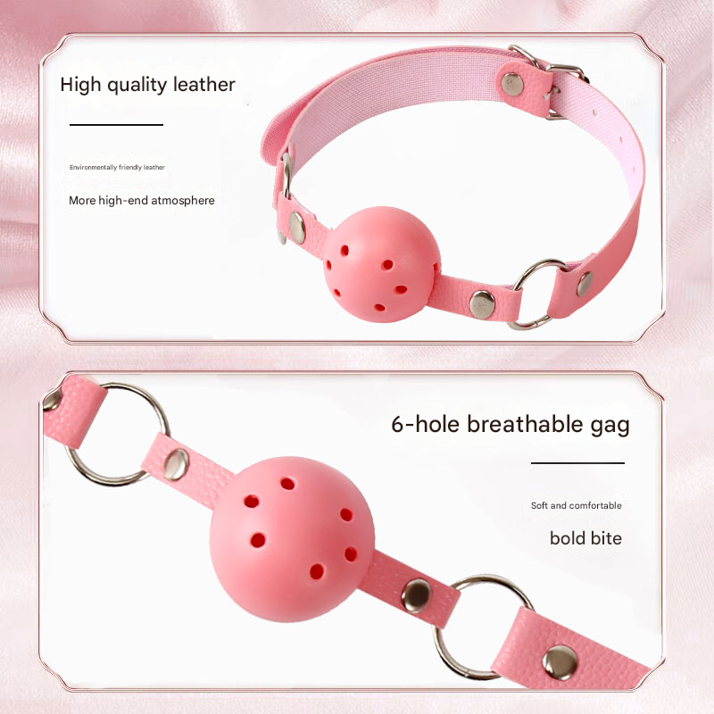 擎哥SM口球粉色款