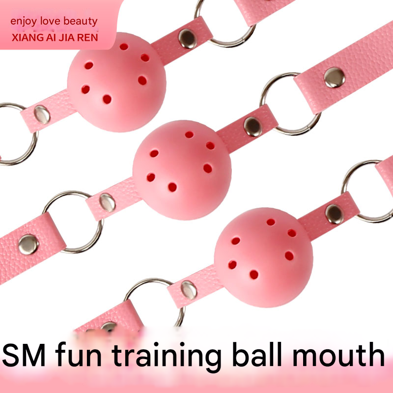 擎哥SM口球粉色款