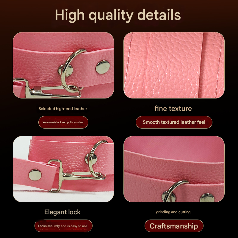 擎哥SM粉色皮革款（11件套）